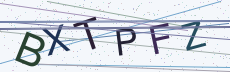 Security verification code